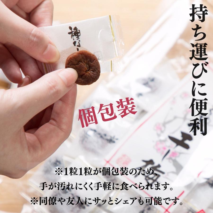 博屋 ドライフルーツ 干し梅 種なし干し梅 まろやか干し梅 300g x 5袋 梅干し 梅干 手土産 スイーツ 常温 個別 包装