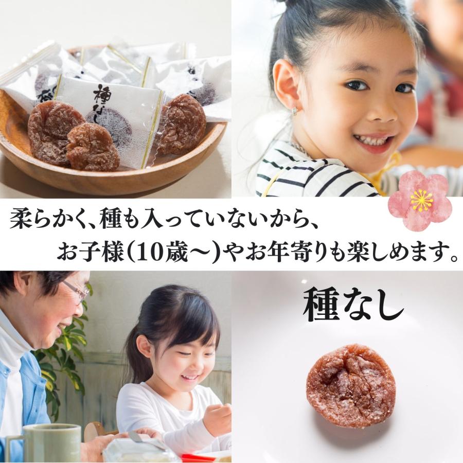 博屋 ドライフルーツ 干し梅 種なし干し梅 まろやか干し梅 300g x 5袋 梅干し 梅干 手土産 スイーツ 常温 個別 包装