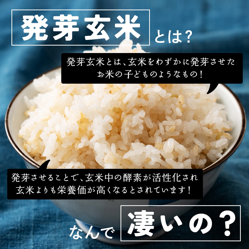 雑穀 雑穀米 国産 発芽玄米 4kg(400g×10袋) 徳用サイズ 無添加 無着色 ダイエット食品 雑穀 雑穀米 国産 発芽玄米 4kg(400g×10袋) 徳用サイズ 無添加 無着色 ダイエット食品