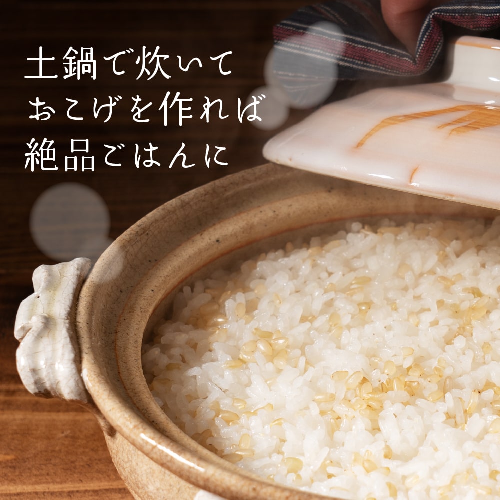 雑穀 雑穀米 国産 発芽玄米 4kg(400g×10袋) 徳用サイズ 無添加 無着色 ダイエット食品 雑穀 雑穀米 国産 発芽玄米 4kg(400g×10袋) 徳用サイズ 無添加 無着色 ダイエット食品