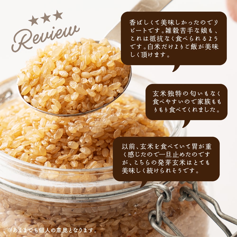 雑穀 雑穀米 国産 発芽玄米 4kg(400g×10袋) 徳用サイズ 無添加 無着色 ダイエット食品 雑穀 雑穀米 国産 発芽玄米 4kg(400g×10袋) 徳用サイズ 無添加 無着色 ダイエット食品