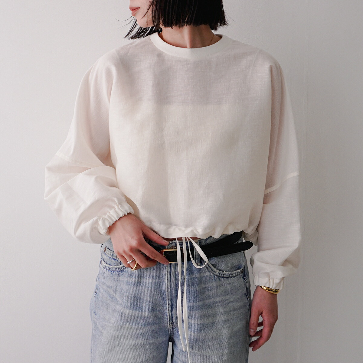 PASSIONE パシオーネ ブラウス 526952 レディース シアー ボリュームスリーブ 長袖 カラー2色 【mega】