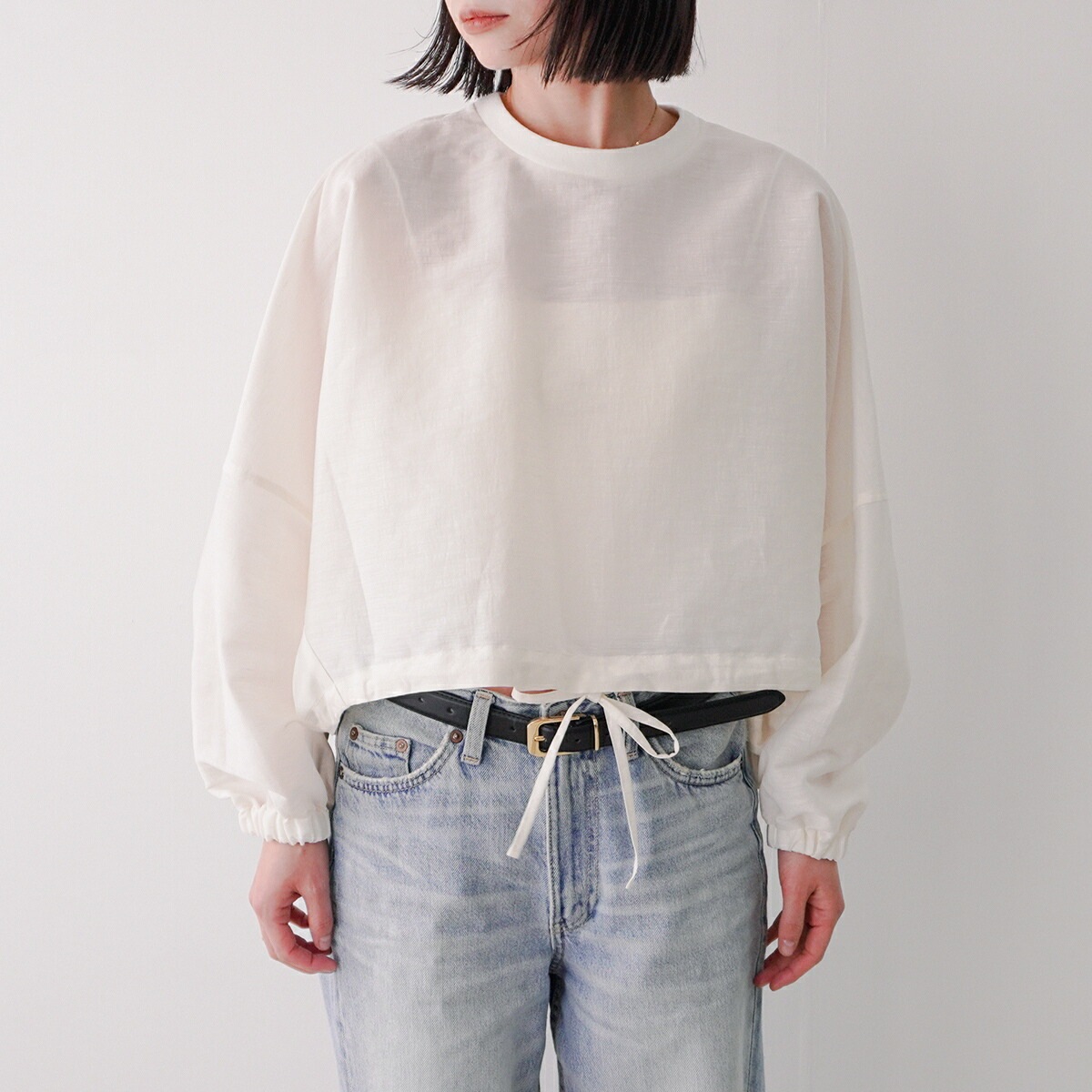 PASSIONE パシオーネ ブラウス 526952 レディース シアー ボリュームスリーブ 長袖 カラー2色 【mega】