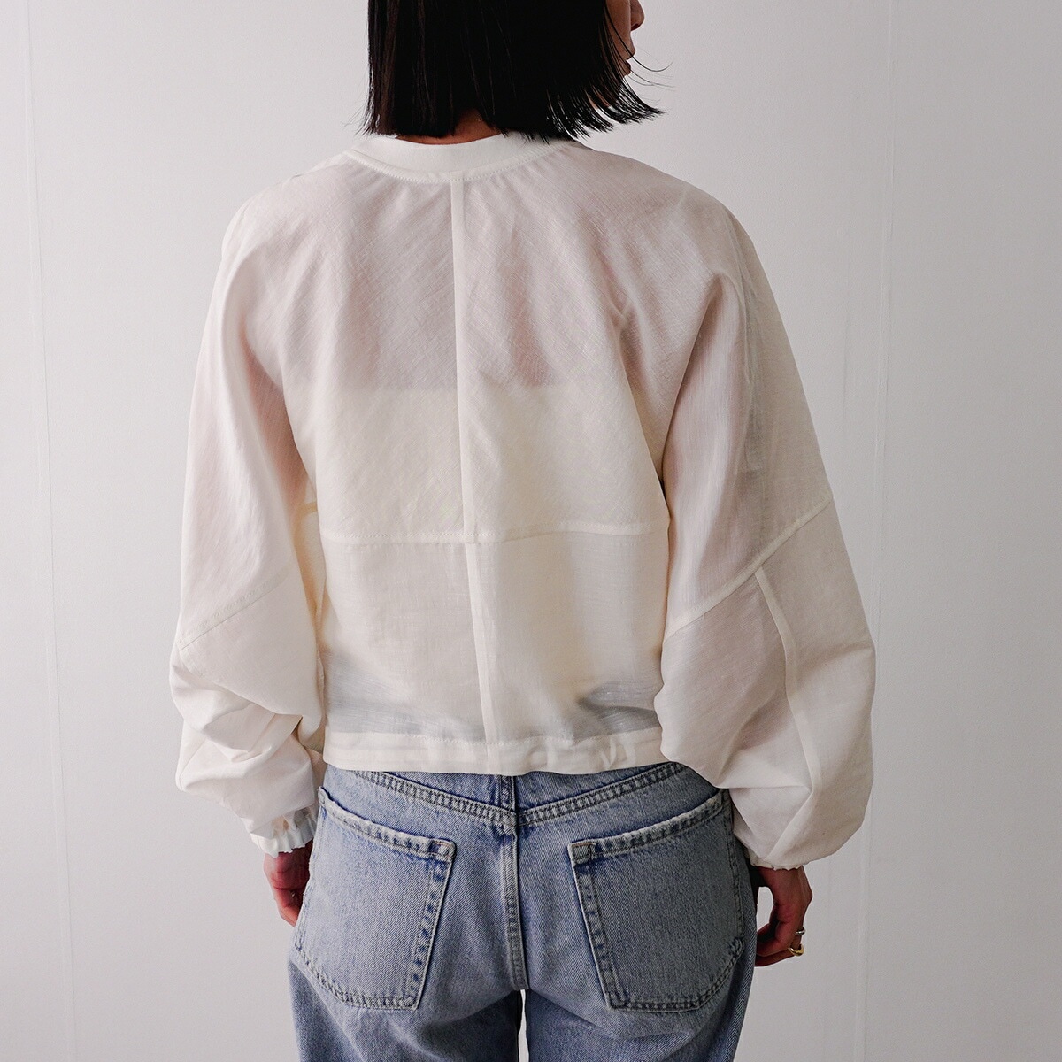 PASSIONE パシオーネ ブラウス 526952 レディース シアー ボリュームスリーブ 長袖 カラー2色 【mega】