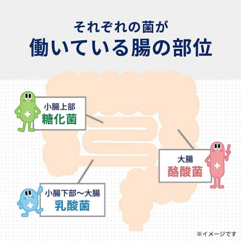 2個セット 【指定医薬部外品】 ビオスリーHi錠 (270錠) 生菌整腸剤 整腸 便秘 軟便 2個セット 【指定医薬部外品】 ビオスリーHi錠 (270錠) 生菌整腸剤 整腸 便秘 軟便