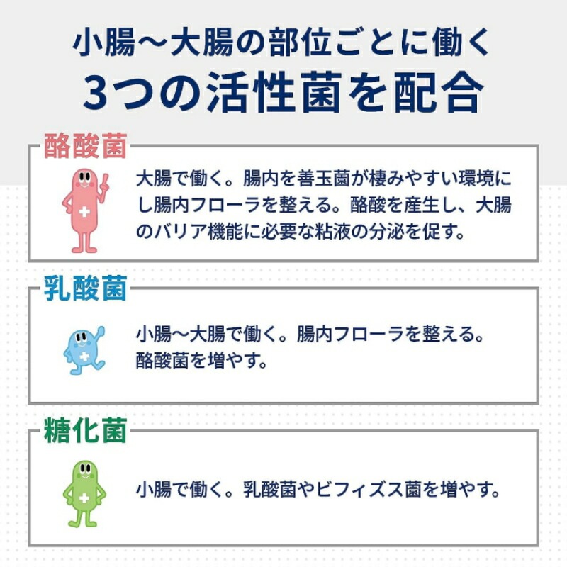 2個セット 【指定医薬部外品】 ビオスリーHi錠 (270錠) 生菌整腸剤 整腸 便秘 軟便 2個セット 【指定医薬部外品】 ビオスリーHi錠 (270錠) 生菌整腸剤 整腸 便秘 軟便