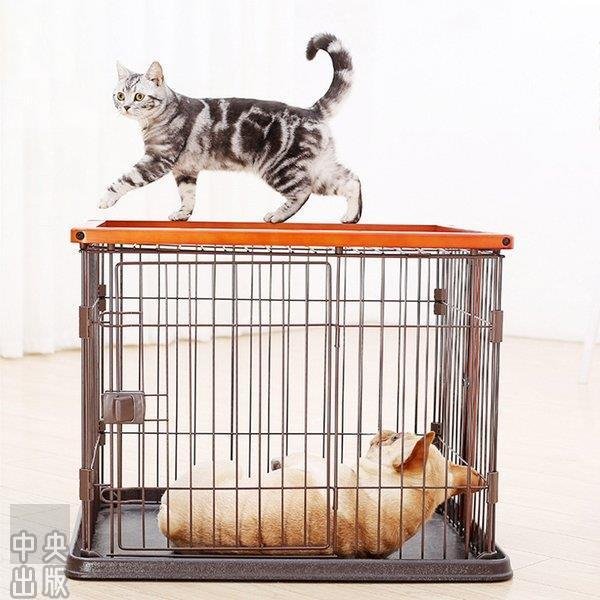 猫 ベッド 室内 ... : ペット 犬 ペット用品 ネコ 最大5％セット割