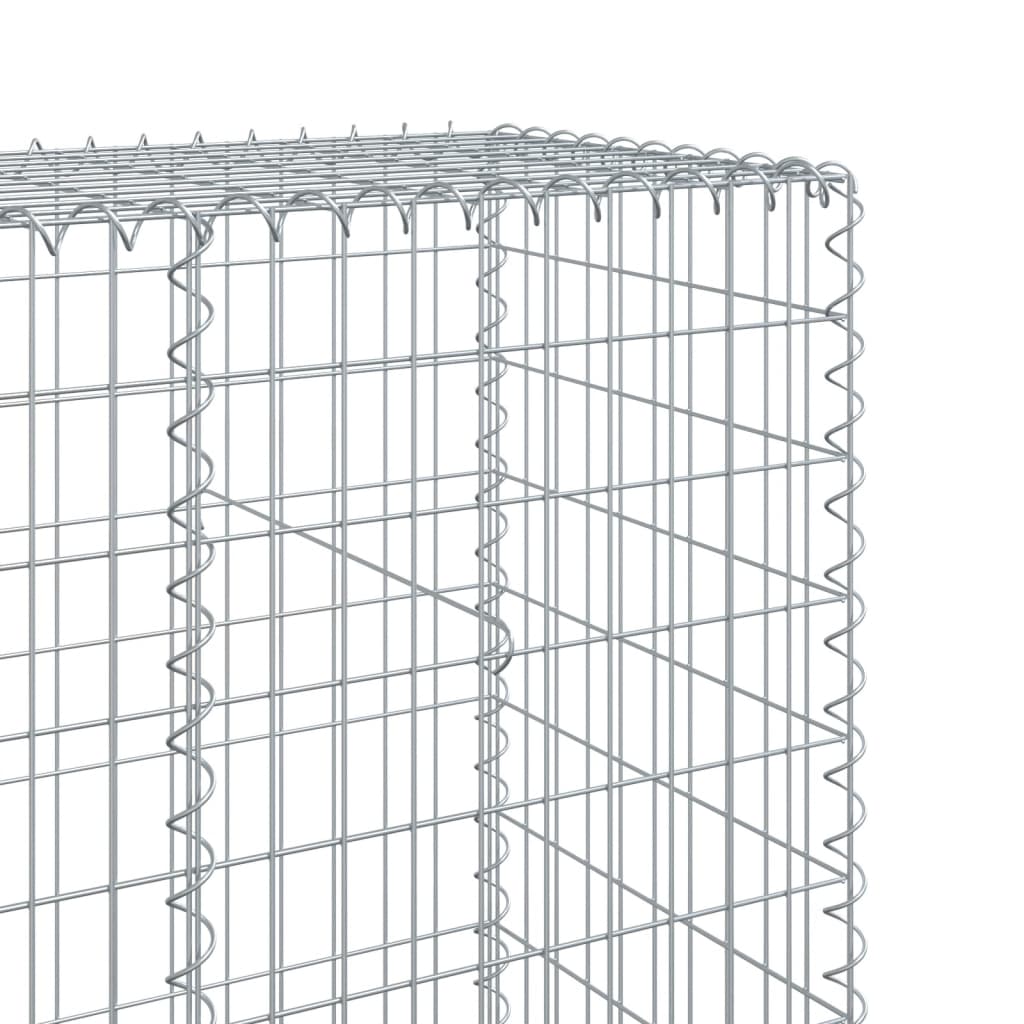 蛇籠バスケット カバー付き 200x50x200cm 亜鉛メッキ鉄