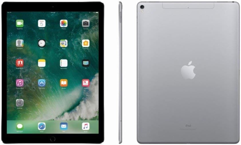 iPad Pro 10.5 インチ 第１世代 Wi-Fi + Cellular 64GB シルバー