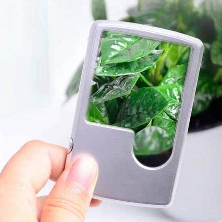 【20点セット】【急速出荷】ハンドルーペ 超薄型 虫眼鏡 虫メガネ LED スリム スリム 地図 手持ちルーペ ジュエリー 3倍 搭載 くっきり ハッキリ 老眼鏡 標本 LEDライト付き 6倍 読書