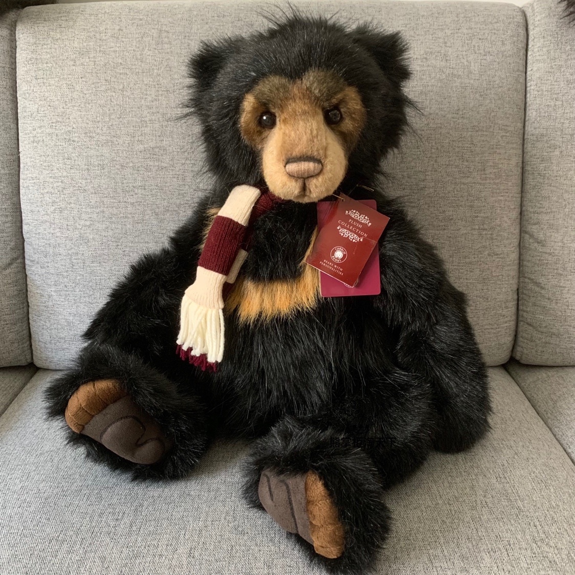 テディベア イギリス Charlie Bear | www.hartwellspremium.com