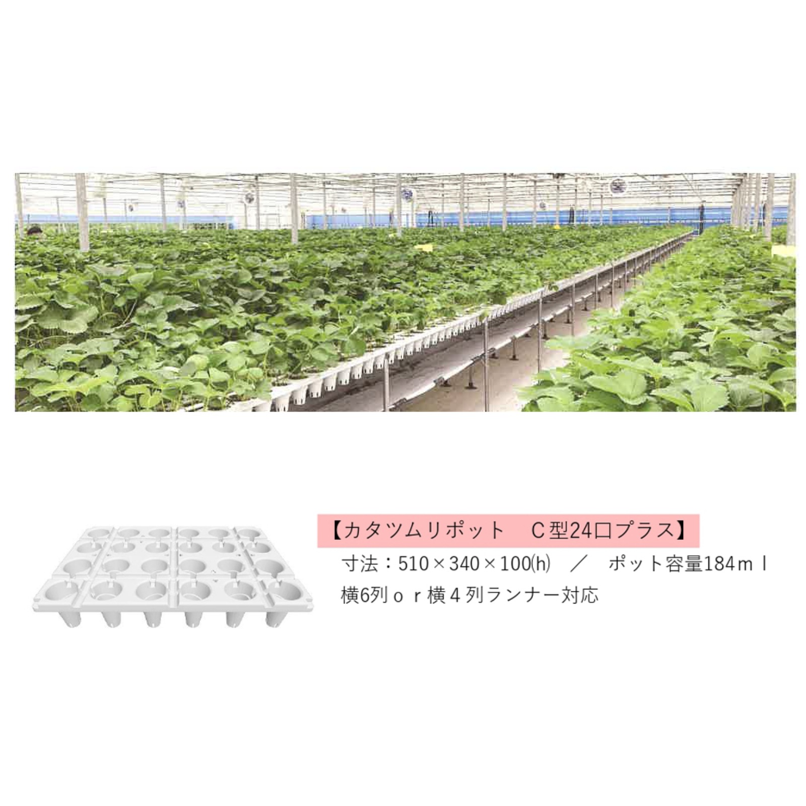 カタツムリポットC24プラス 25枚セット 510mm×340mm×100mm 培土量184ml カタツムリポットC24プラス 25枚セット 510mm×340mm×100mm 培土量184ml