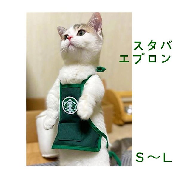 Qoo10] スターバックス 猫服 犬服 エプロン ドッグウェア 韓国