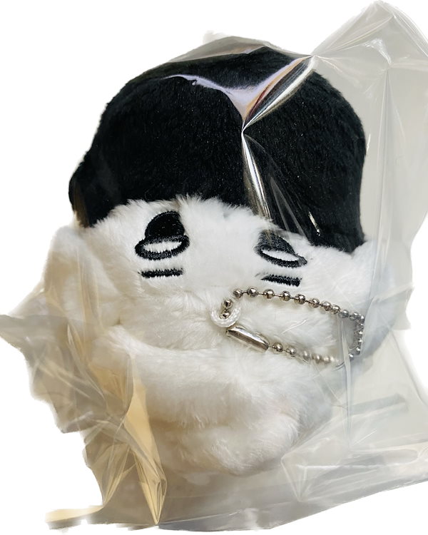 Qoo10] Aespa ウィンター マスター ぬいぐ