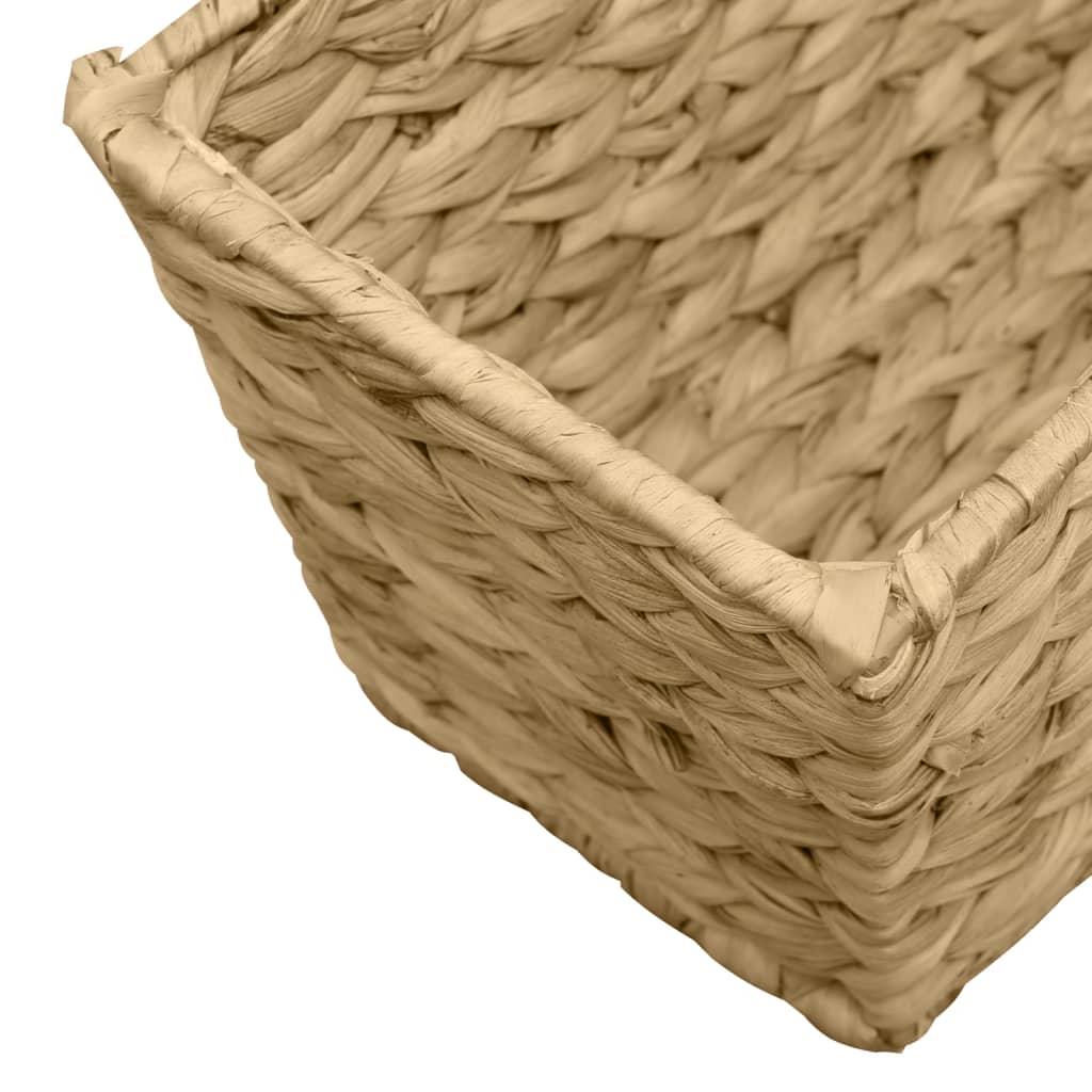 ガーデンプランター 2点 ウォーターヒヤシンス ガーデンプランター 2点 ウォーターヒヤシンス