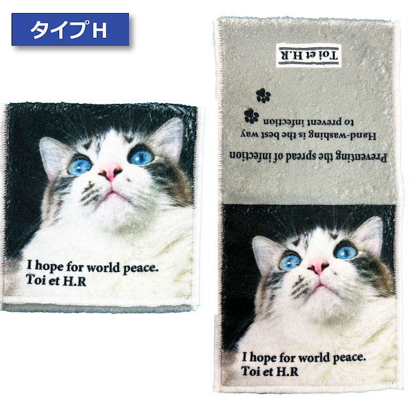Qoo10] タオルハンカチ マイクロファイバー 猫ハ