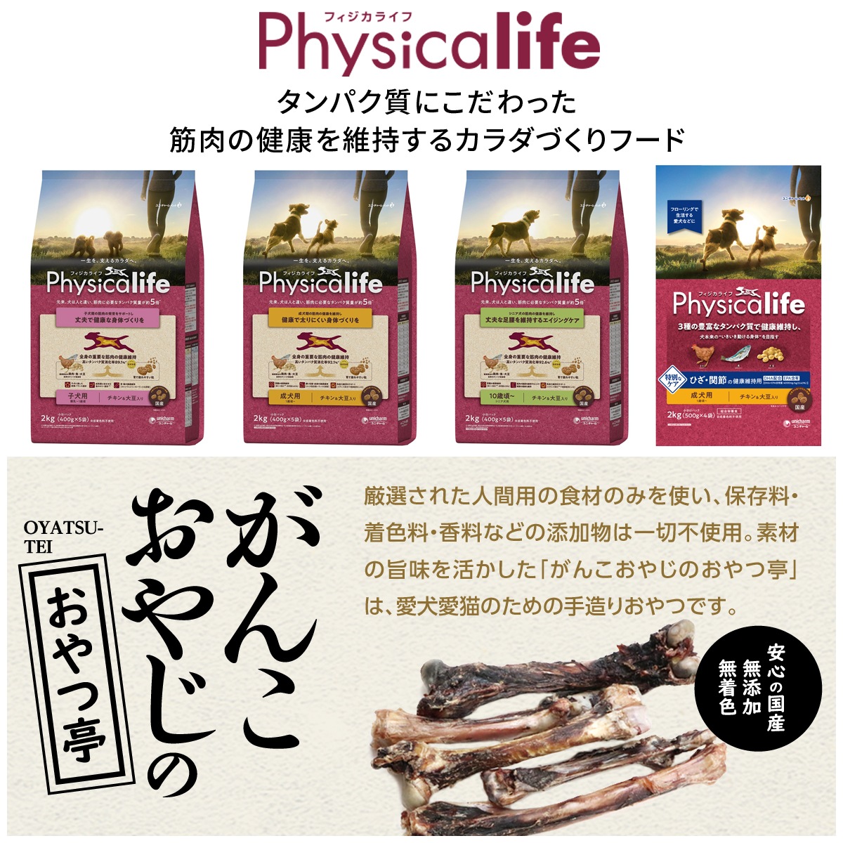 フィジカライフ 成犬用 ひざ関節の健康維持用 2kg【国産鹿レッグボーン 1本入り】 フィジカライフ 成犬用 ひざ関節の健康維持用 2kg【国産鹿レッグボーン 1本入り】