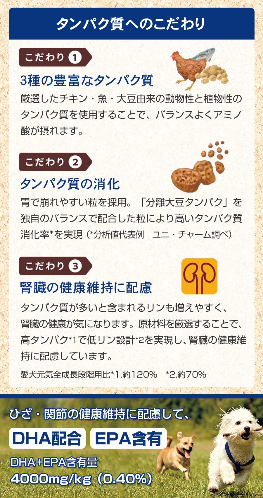 フィジカライフ 成犬用 ひざ関節の健康維持用 2kg【国産鹿レッグボーン 1本入り】 フィジカライフ 成犬用 ひざ関節の健康維持用 2kg【国産鹿レッグボーン 1本入り】