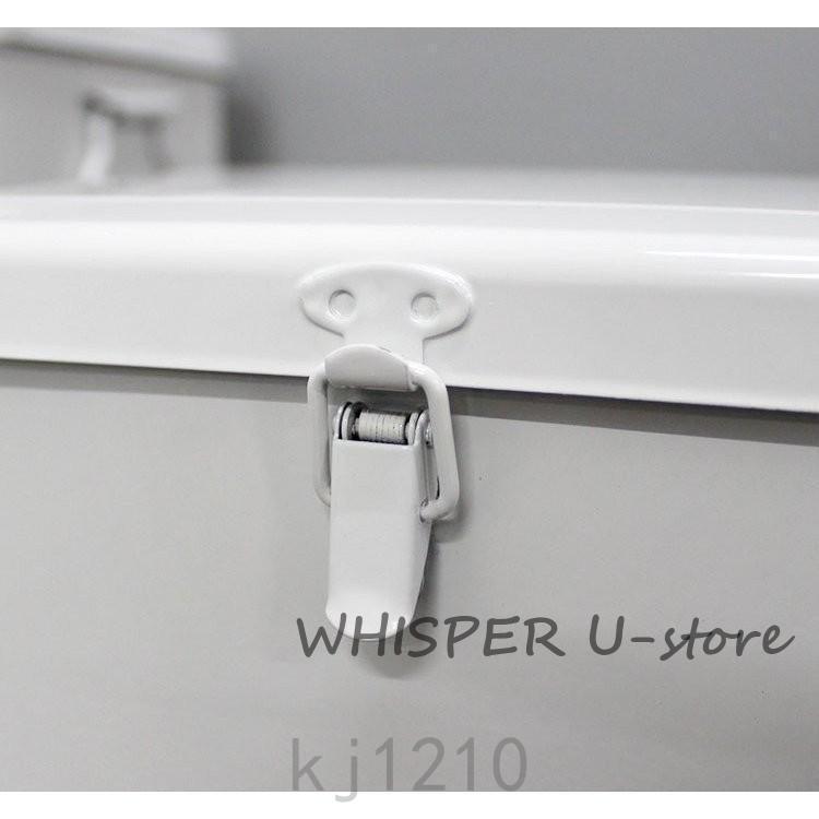 救急箱 おしゃれ 収納 大容量 薬箱 小物入れ スチールボックス 仕切りトレー付き メディコ ファーストエイドボックス 救急箱 おしゃれ 収納 大容量 薬箱 小物入れ スチールボックス 仕切りトレー付き メディコ ファーストエイドボックス