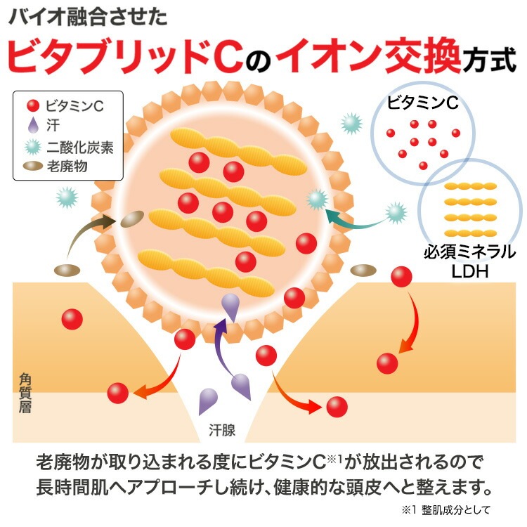 【モンドセレクション金賞】[公式] ヘアートニックセットEX 3本 育毛剤 頭皮ローション スカルプ 育毛 薄毛対策 男性用 男 女性用 養毛 頭皮 薄毛 生え際 トニック ビタミンC 医薬部外品