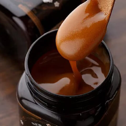 マヌカハニー UMF10 250g 3個セット ハニージャパン マヌカハニー UMF10 250g 3個セット ハニージャパン