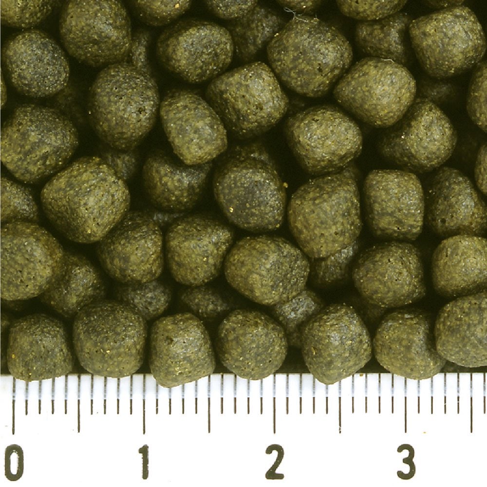 鯉の餌 咲ひかり 色揚用 浮上 M 5kg 錦鯉 20cmー お一人様3点限り CRC10―41―70―10―00 鯉の餌 咲ひかり 色揚用 浮上 M 5kg 錦鯉 20cmー お一人様3点限り CRC10―41―70―10―00
