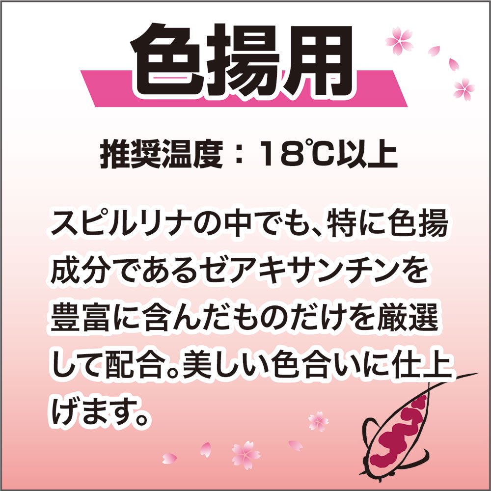 鯉の餌 咲ひかり 色揚用 浮上 M 5kg 錦鯉 20cmー お一人様3点限り CRC10―41―70―10―00 鯉の餌 咲ひかり 色揚用 浮上 M 5kg 錦鯉 20cmー お一人様3点限り CRC10―41―70―10―00