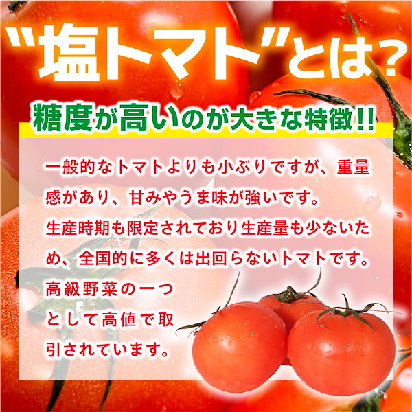 激安☆超特価 塩トマト 高糖度フルーツトマト 熊本県産 秀品 10〜16玉入り 約1.4kg 贈答規格 トマトの生産量日本一の熊本県特産トマト 