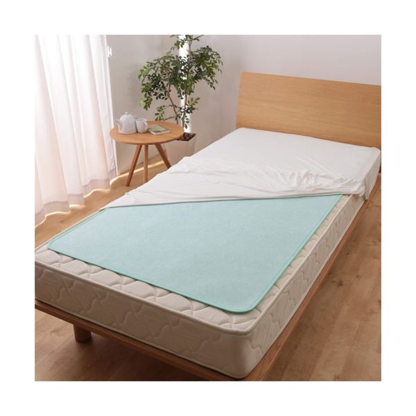 帝人フロンティア ベルオアシス除湿マット 快眠ドライスリム 防ダニプラス K0420GR-S-M 1枚