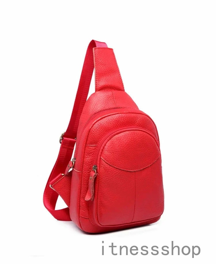 新品 ギフトショルダーバッグ レディース メンズ 斜めがけ 肩掛け ヘルシーバックバッグ メンズ ボディバッグ ポシェット ミニショルダーバッグ 肩掛けバッグ ミニ 小さい 高級感 軽量 多機能 自転