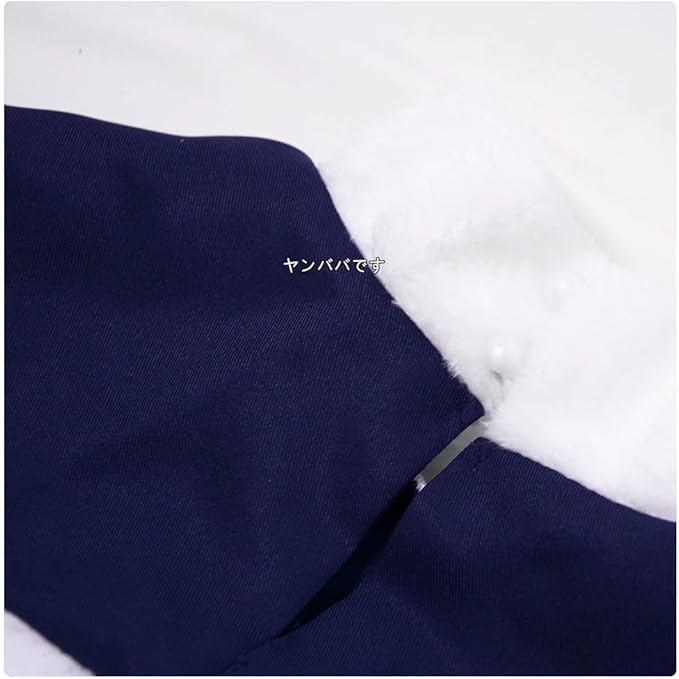 ジュビア・ロクサーコスプレ 衣装(ウィッグ 靴別売り)