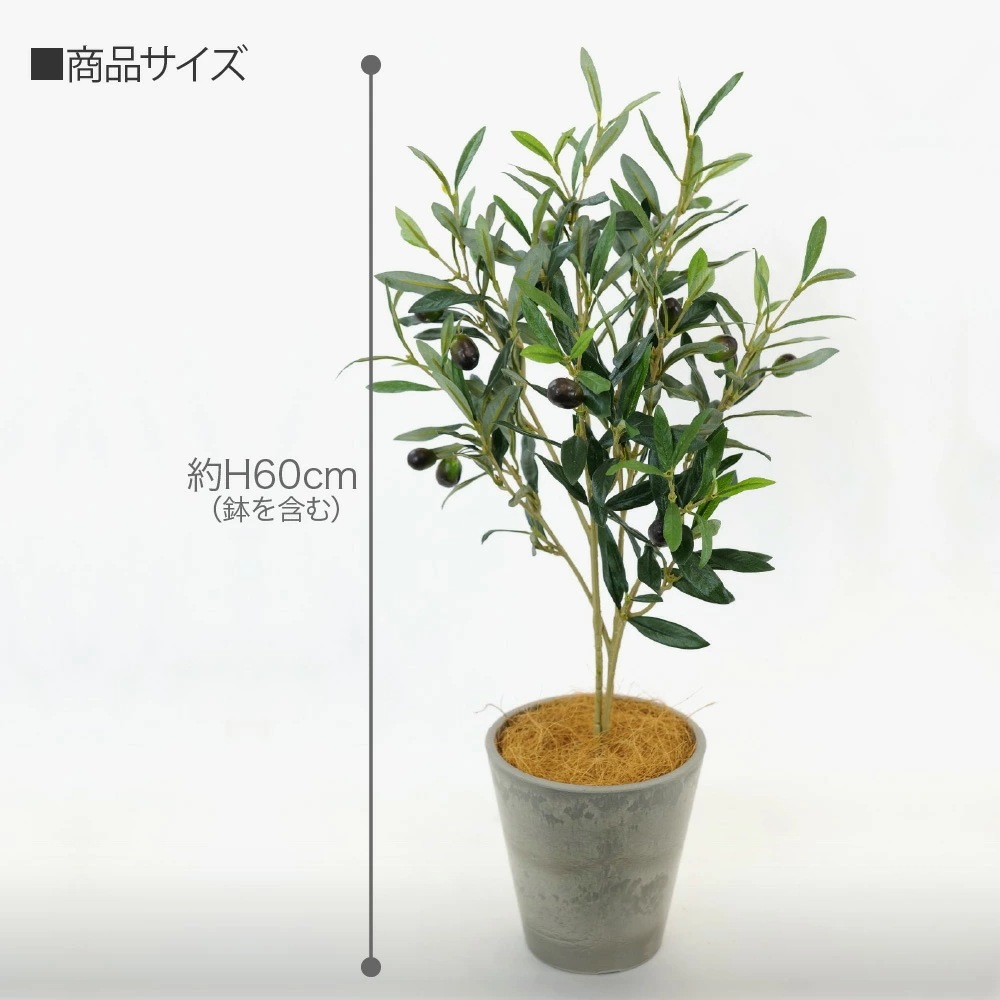 フェイクグリーン オリーブツリー ナチュラルポット 60cm CT触媒 フェイクグリーン オリーブツリー ナチュラルポット 60cm CT触媒