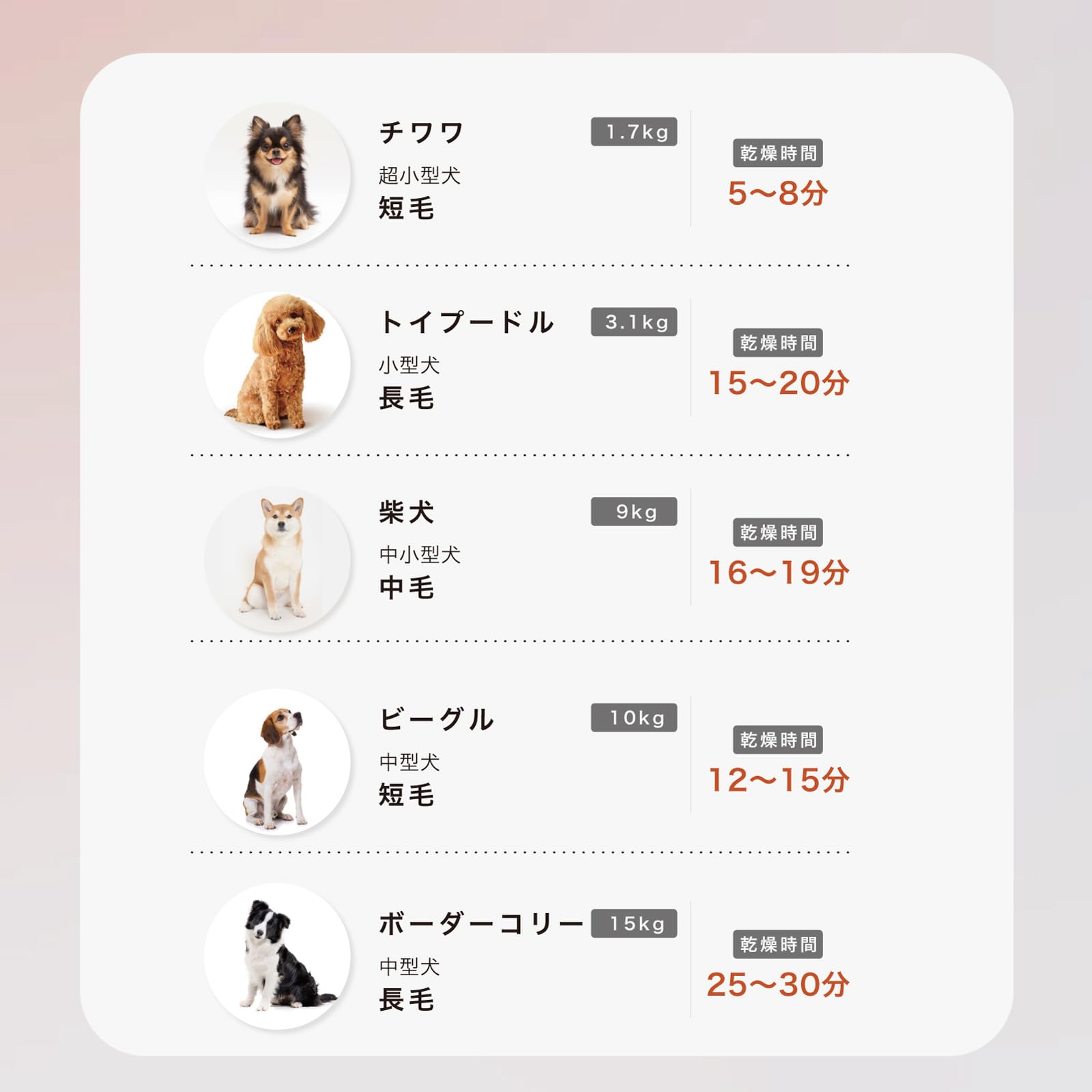 mino ペットドライヤー 小型・コンパクト 軽量なスティックタイプ 犬用ドライヤー 猫用ドライヤー ブラシノズル 時短・速乾 温度風量調節可能 2種ノズル付き 家庭用および旅行用 温度センサーを搭載 mino ペットドライヤー 小型・コンパクト 軽量なスティックタイプ 犬用ドライヤー 猫用ドライヤー ブラシノズル 時短・速乾 温度風量調節可能 2種ノズル付き 家庭用および旅行用 温度センサーを搭載