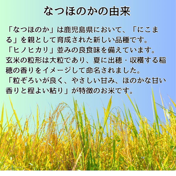 Qoo10] 【数量限定】新米 長崎県産 『なつほのか