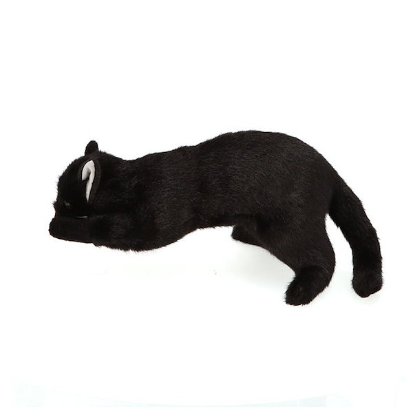 Qoo10] 童心 ぬいぐるみ 猫 通販 ねこ ネコ