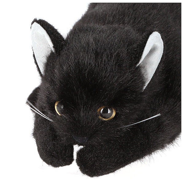黒猫 童心 ぬいぐるみ ねこ ネコ 猫 日本製リアルシリーズ 童心 ネコ Sサイズ ぬいぐるみ 猫 : HONDA STORE