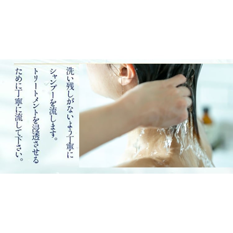 ダメージ補修ケア 【シャンプー トリートメント セット】 パフォームクレンジングエモリエントシルキーマスク 美容室 サロン専売 ノンシリコンシャンプー