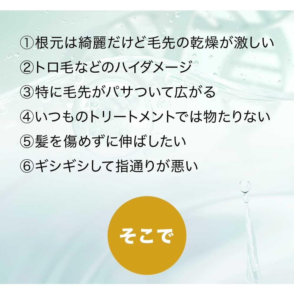 ダメージ補修ケア 【シャンプー トリートメント セット】 パフォームクレンジングエモリエントシルキーマスク 美容室 サロン専売 ノンシリコンシャンプー