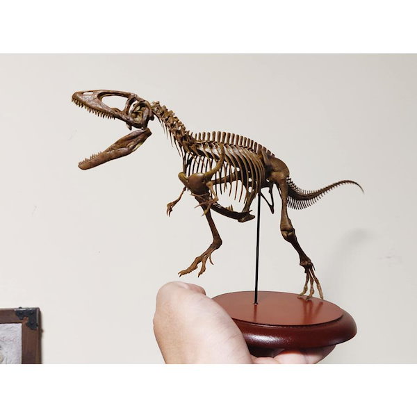 木彫　恐竜　トルヴォサウルス　頭骨模型1/10スケール 木彫 恐竜 ブラキロフォサウルス頭骨 1/10スケール