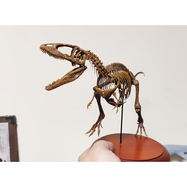 木彫　恐竜　トルヴォサウルス　頭骨模型1/10スケール 木彫 恐竜 トルヴォサウルス 頭骨模型1/10スケール