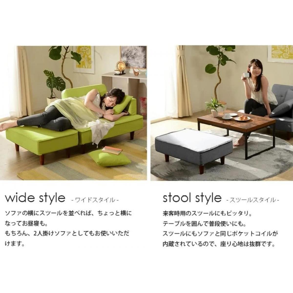 【I】セルタン CELLUTANE カウチソファ NAP 2人掛け 脚置き付 アッシュグレー A969p-625GRY くすみカラー コンパクト ソファ【受注生産品】グ 水