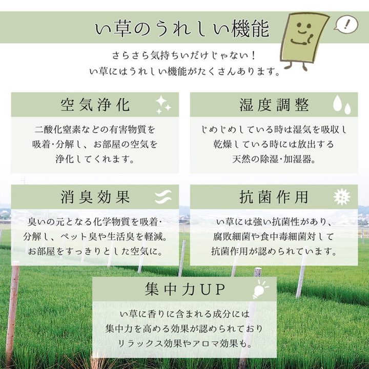 ラグマット い草ラグ 夏用 ござ 高級 国産 約2.5畳 200x200cm エンペラー おしゃれ 日本製 裏張り 滑り止め付き フローリング向き_5