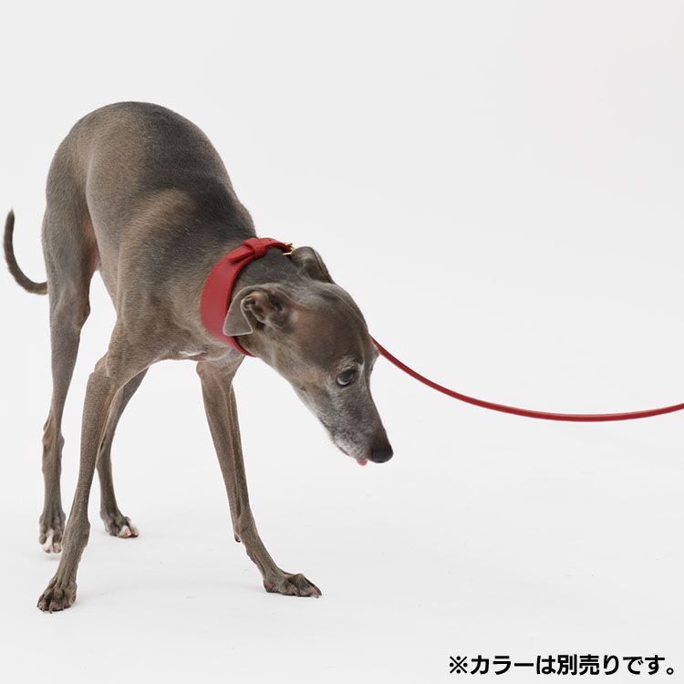 【人気商品】Anna leather leash110 M LDV306 リード 犬用 本革 おしゃれ かわいい 映える ミニピン イタグレ ハヤブサ イタリア製 ブラウン レッド 【人気商品】Anna leather leash110 M LDV306 リード 犬用 本革 おしゃれ かわいい 映える ミニピン イタグレ ハヤブサ イタリア製 ブラウン レッド