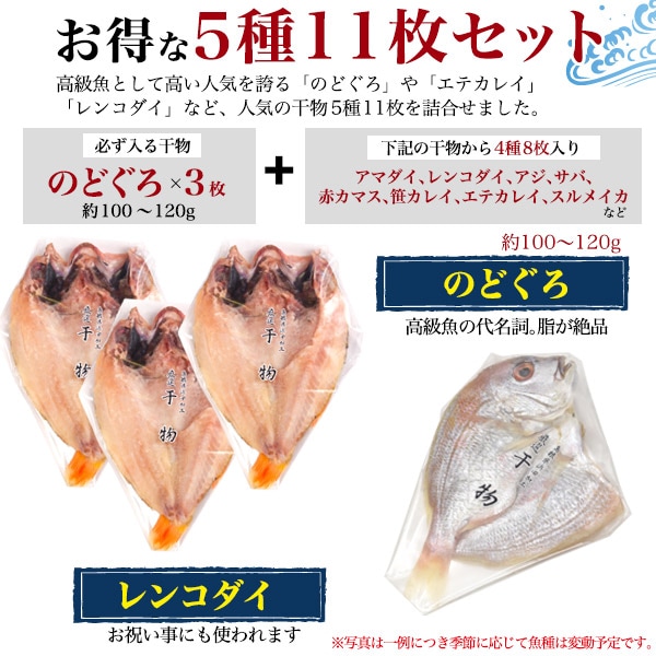 干物セット(5種11枚) 干物セット お中元 お歳暮 贈り物 ギフト アジ エテカレイ サバ レンコダイ 敬老の日 勤労感謝 父の日 母の日 干物セット(5種11枚) 干物セット お中元 お歳暮 贈り物 ギフト アジ エテカレイ サバ レンコダイ 敬老の日 勤労感謝 父の日 母の日