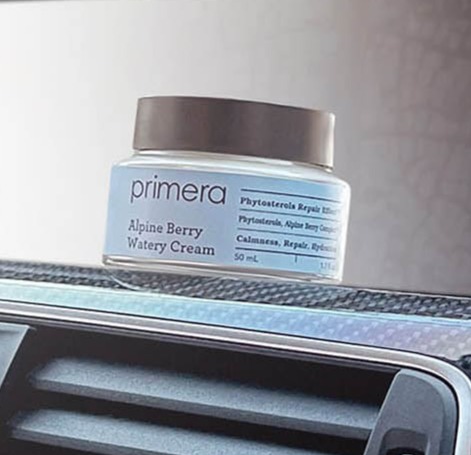 アルパインベリーウォーターリークリーム 100ml アルパインベリーウォーターリークリーム 100ml