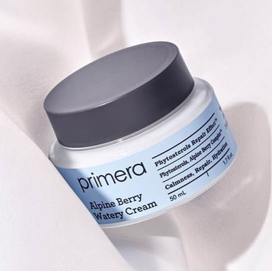 アルパインベリーウォーターリークリーム 100ml アルパインベリーウォーターリークリーム 100ml