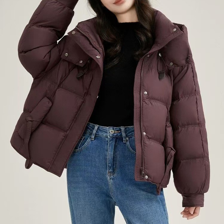 フード付きダウンジャケットレディースショート2025冬新スタイルファッショナブルで万能な防風暖かいプチジャケットトレンド フード付きダウンジャケットレディースショート2025冬新スタイルファッショナブルで万能な防風暖かいプチジャケットトレンド