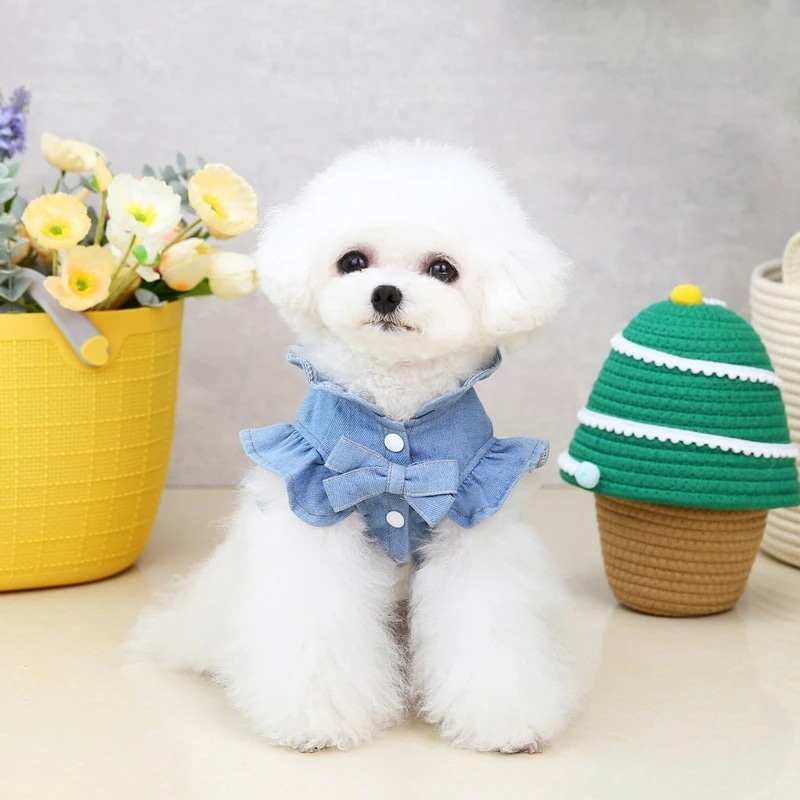 【20点セット】【急速出荷】春夏ペット服 ペット デニム調 ワンピース Tシャツ Dリング 犬猫ペット服 中小型犬 ウェア 帽子 アクセサリー 【20点セット】【急速出荷】春夏ペット服 ペット デニム調 ワンピース Tシャツ Dリング 犬猫ペット服 中小型犬 ウェア 帽子 アクセサリー