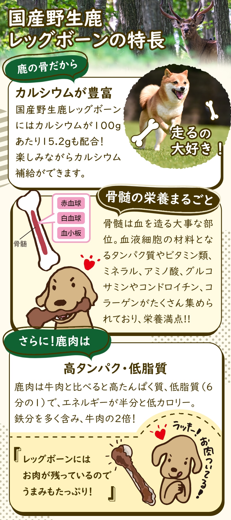 ウルフブラット アダルト ワイルド ダック（ダックとポテト） 12.5kg 【国産鹿レッグボーン 1本Mサイズ付き】