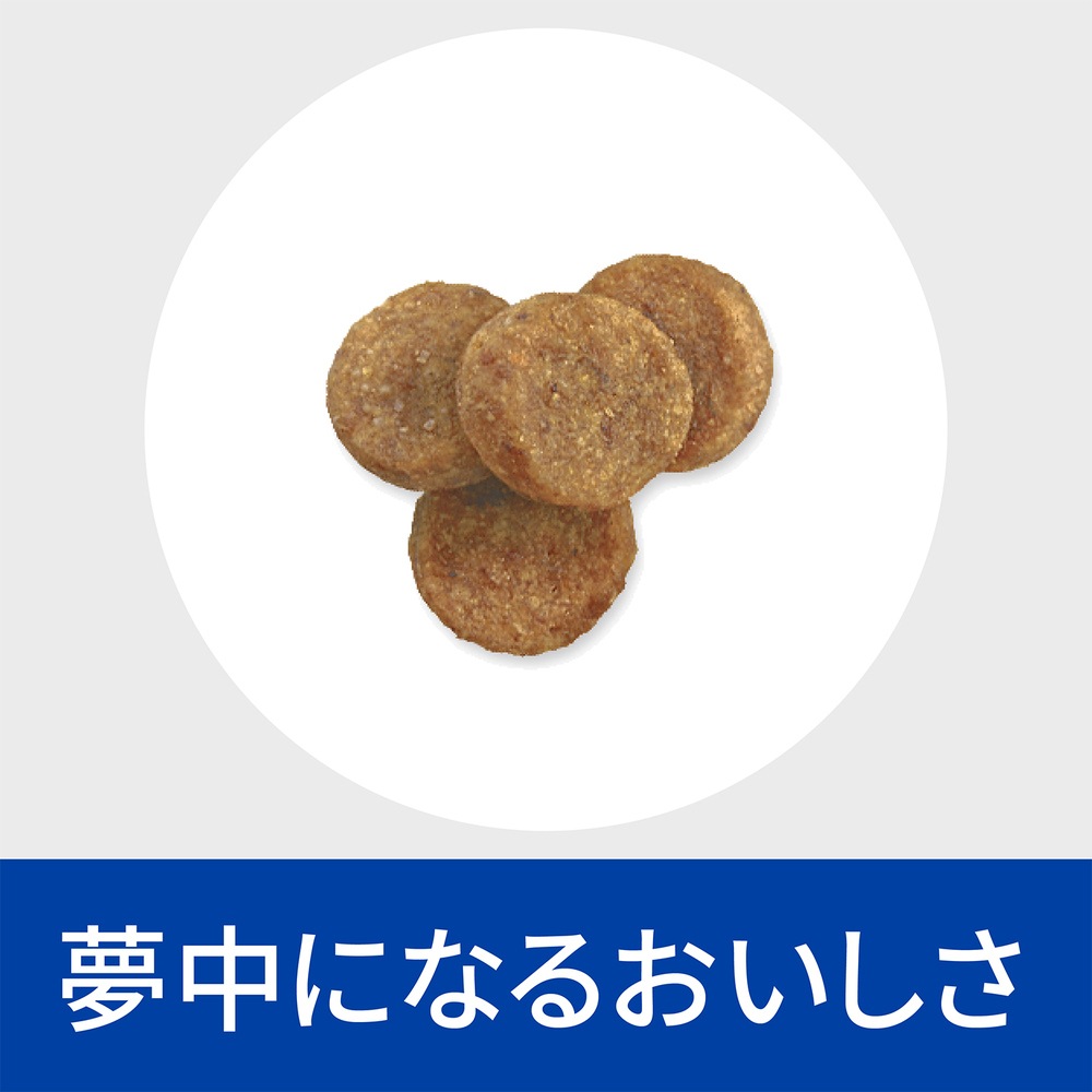 【4袋セット】ヒルズ 食事療法食 犬用 ダームディフェンス 皮膚ケア ドライ 1kg 【4袋セット】ヒルズ 食事療法食 犬用 ダームディフェンス 皮膚ケア ドライ 1kg